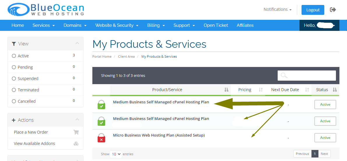 Billing Portal-My Products & Services - Blue Ocean Web Hosting