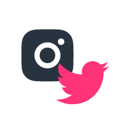 Site Builder Twitter Instagram Icon